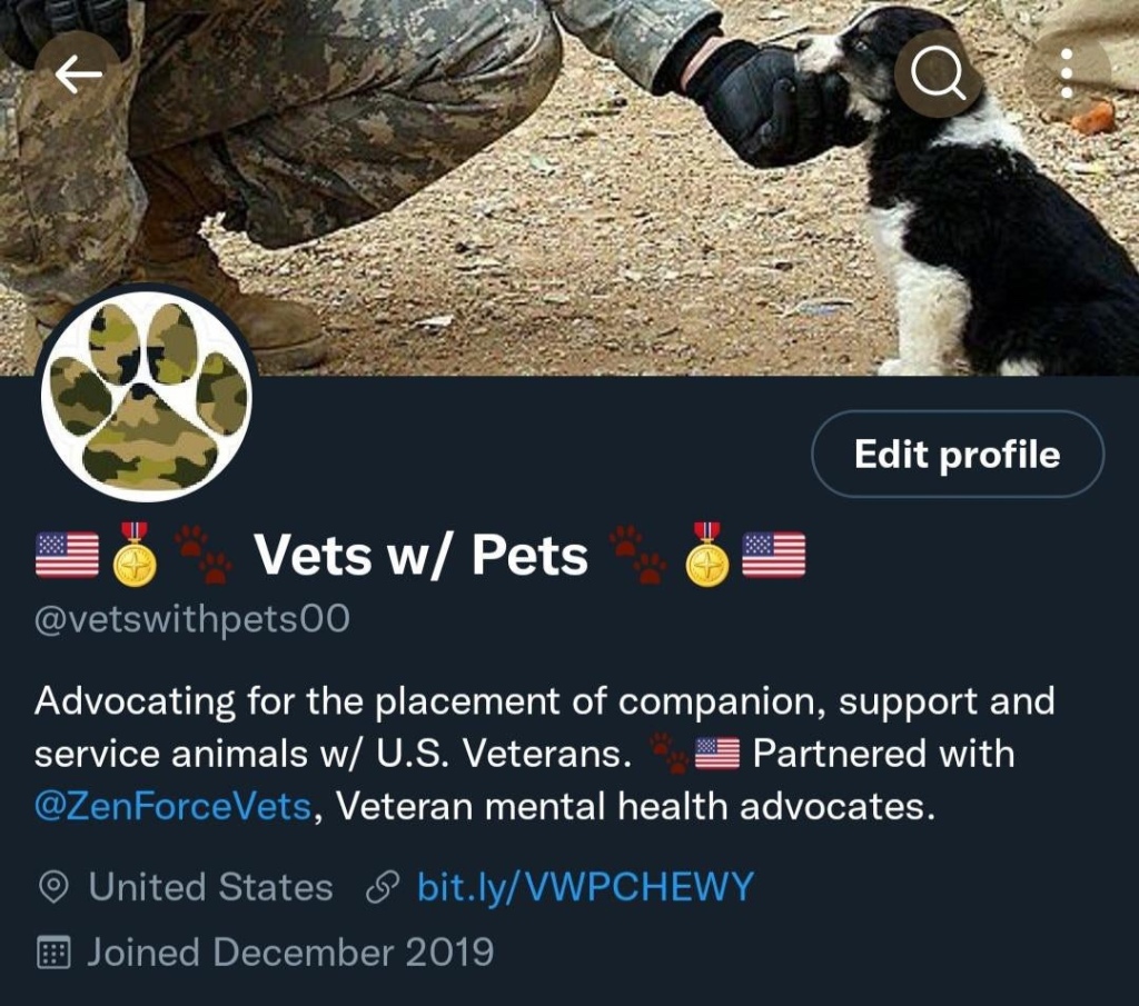 CLICK IMAGE TO ACCESS THE MAIN SITE: 
http://VetsWithPets.carrd.co